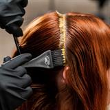 Motif image for VANCOUVER Wella Color Expert Sprint Pre-Requisite Program